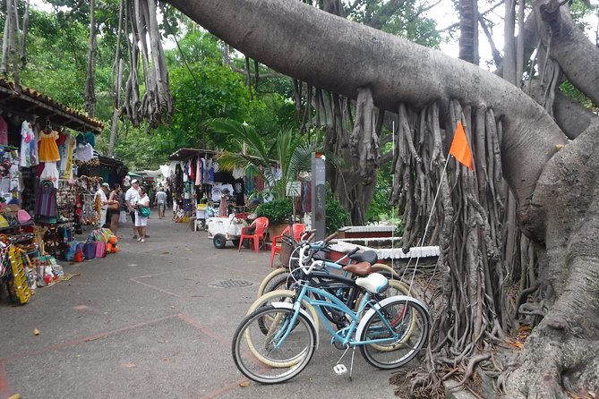 Private Tour in El Malecon Boardwalk Bike Ride - Los Muertos Pier and the Romantic Zone