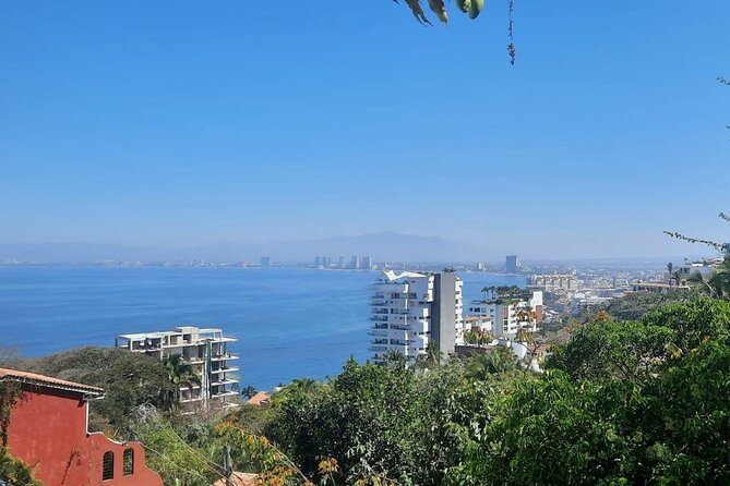 Private Tour of Puerto Vallarta and the Subtropical Forest - Starting along the Malecón
