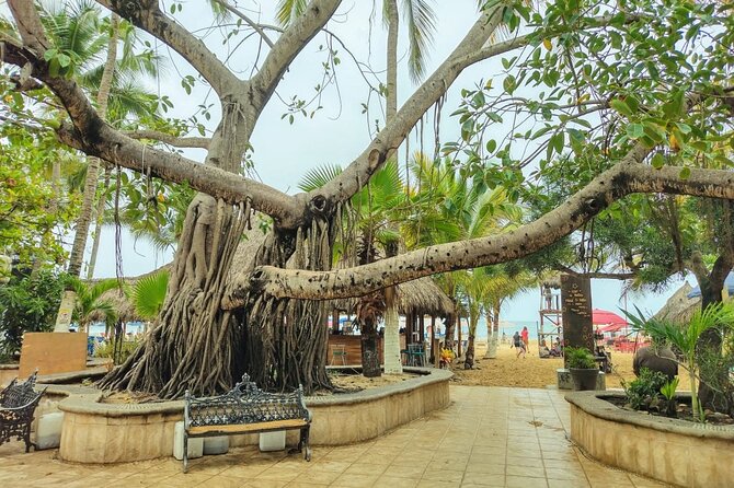 Private Tour, Sayulita & San Pancho - Why this private trip works better than a fixed bus tour