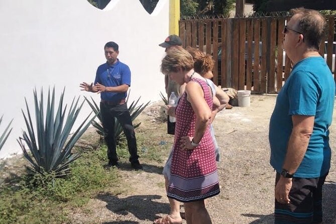 Private Tour, Sayulita & San Pancho - Who should book this outing
