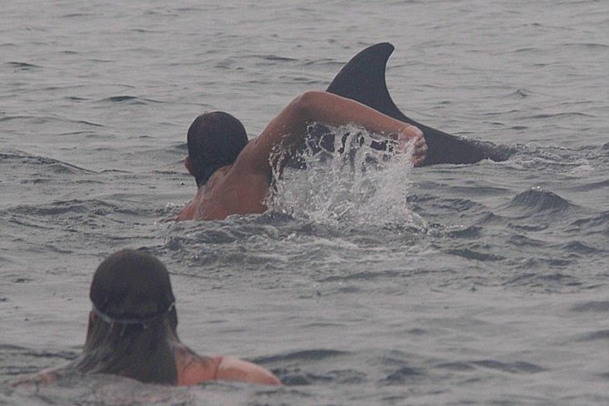 Private Wild Dolphin Encounter in Puerto Vallarta - Meeting Thalia and captain Angel at Marina Vallarta