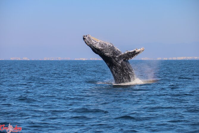 Private Yacht Charter on ChicaFun 1 Waterslides all inclusive - Water toys, snorkeling, and a floating afternoon