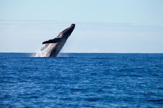 Private Yacht, Sightseeing, Snorkeling and Private beaches - Sailing south past Playa Las Gemelas