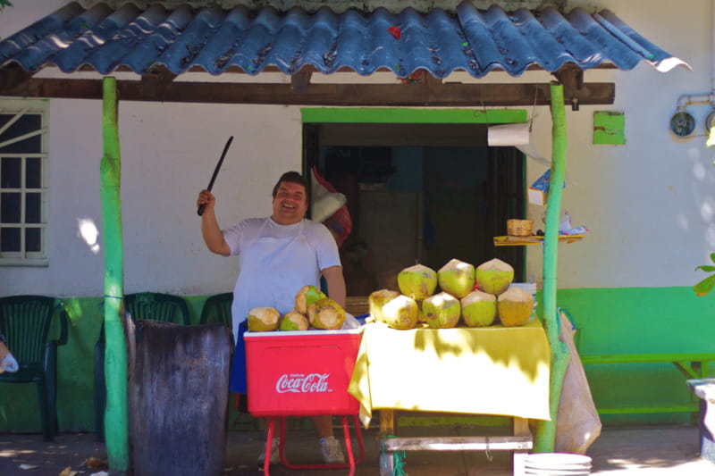 Puerto Vallarta 3-Hour Food Tour of Authentic Local Cuisine - Taco stops, salsa lessons, and the right amount of lime