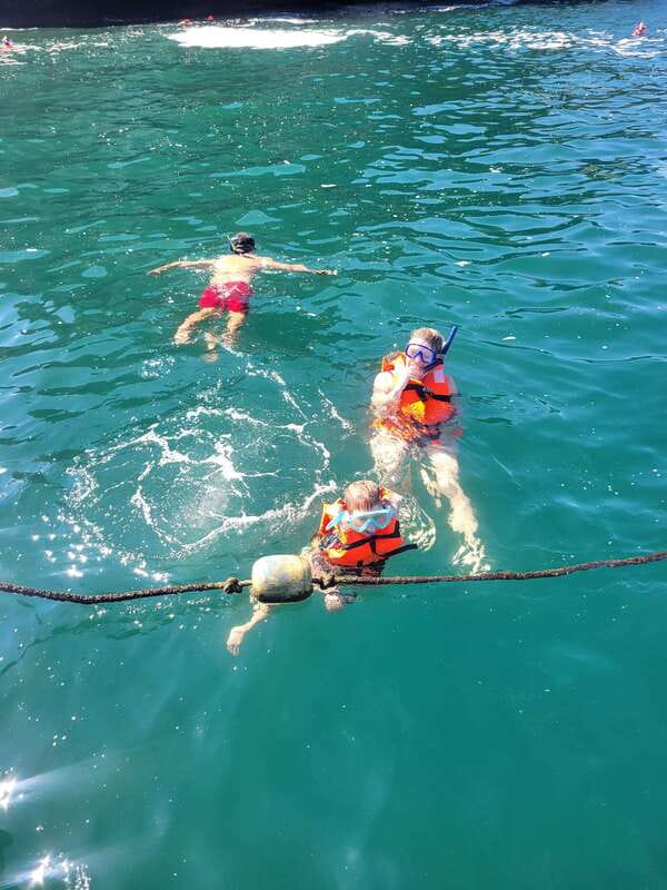 Puerto Vallarta: 3-Hour Whale Watching and Snorkeling - Three hours on paper, longer in practice