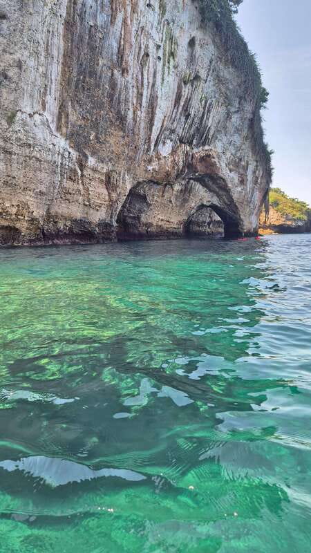Puerto Vallarta: 3-Hour Whale Watching and Snorkeling - What happens when the whales are found