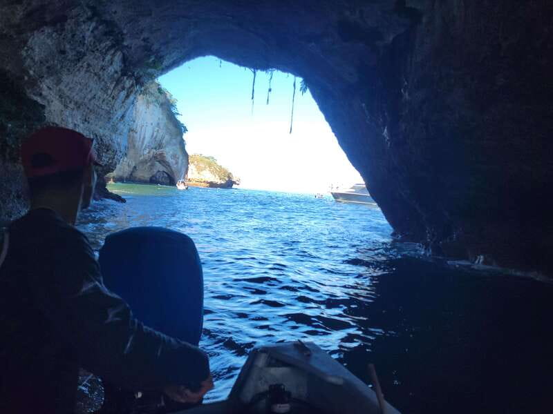 Puerto Vallarta: 3-Hour Whale Watching and Snorkeling - Beach stops, gardens, and local flavor