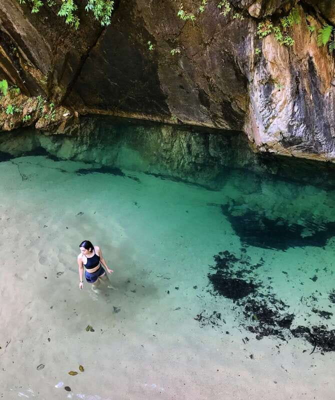 Puerto Vallarta: 4-Hour Jungle Hike and Waterfall Swim - Why this four-hour jungle hike is worth your morning