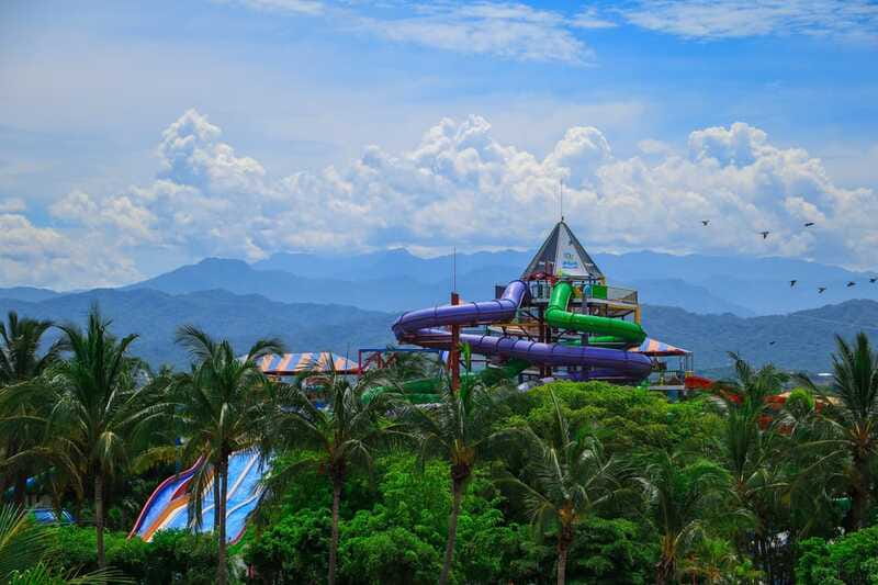 Puerto Vallarta: Aquaventuras Park Admission Ticket - Dolphin and sea lion presentations add another layer