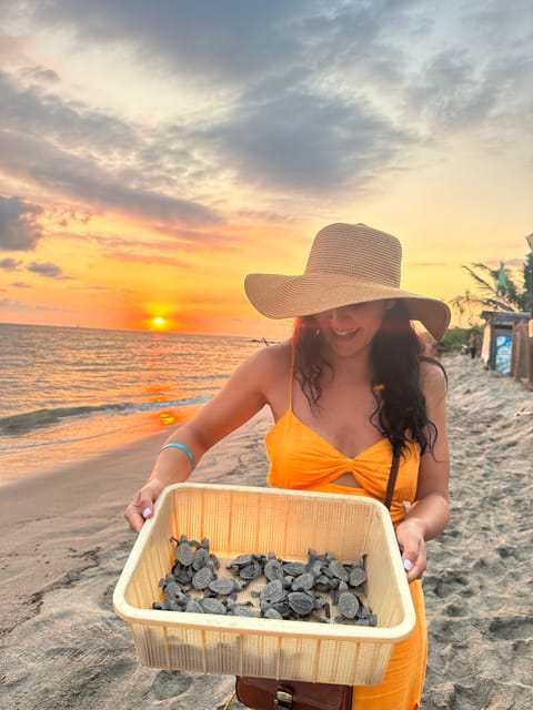 Puerto Vallarta: Baby Turtle Release in Conservation Area - The guides make the difference
