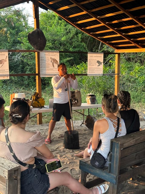 Puerto Vallarta: Baby Turtle Release in Conservation Area - Practical drawbacks to consider