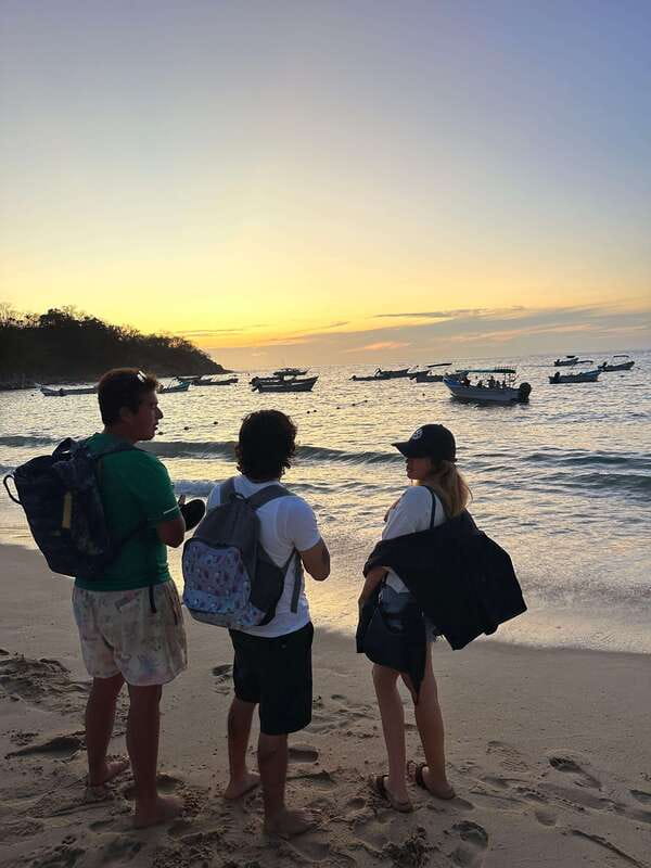 Puerto Vallarta: Bioluminescence in Los Arcos Marine Park - Key points to know before booking