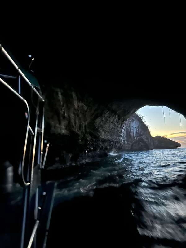 Puerto Vallarta: Bioluminescence in Los Arcos Marine Park - What this Puerto Vallarta night tour is really like