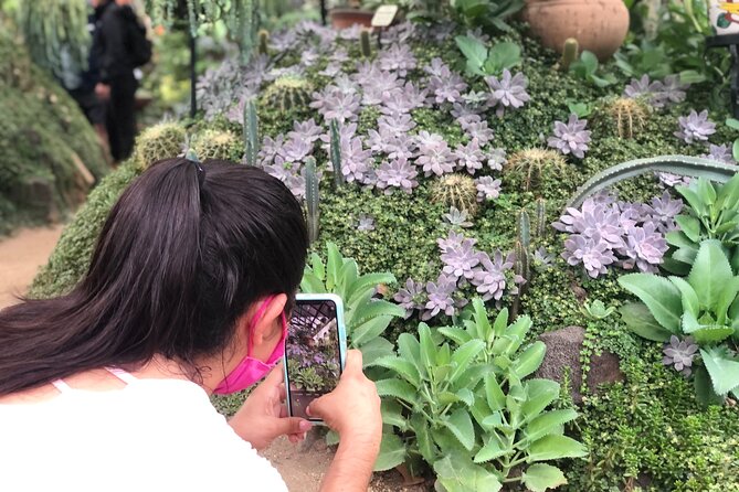 Puerto Vallarta Botanical Gardens Hiking Tour - How Difficult Is the Garden Hike?