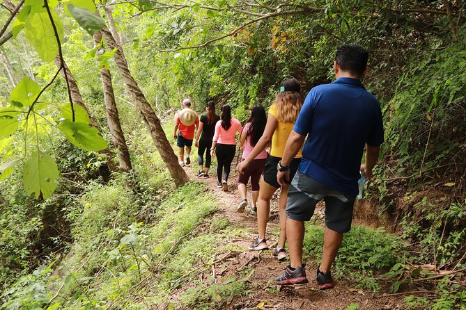 Puerto Vallarta Botanical Gardens Hiking Tour - Tequila Tasting and the Optional Meal