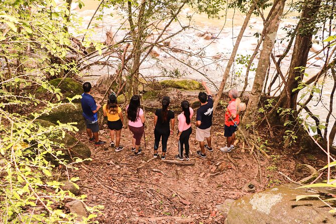 Puerto Vallarta Botanical Gardens Hiking Tour - Is the $102 Price Good Value?