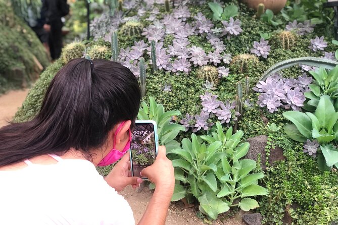 Puerto Vallarta Botanical Gardens Hiking Tour - Who Should Book This Experience?