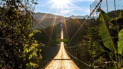 Canopy River + Jorullo Bridge Pass