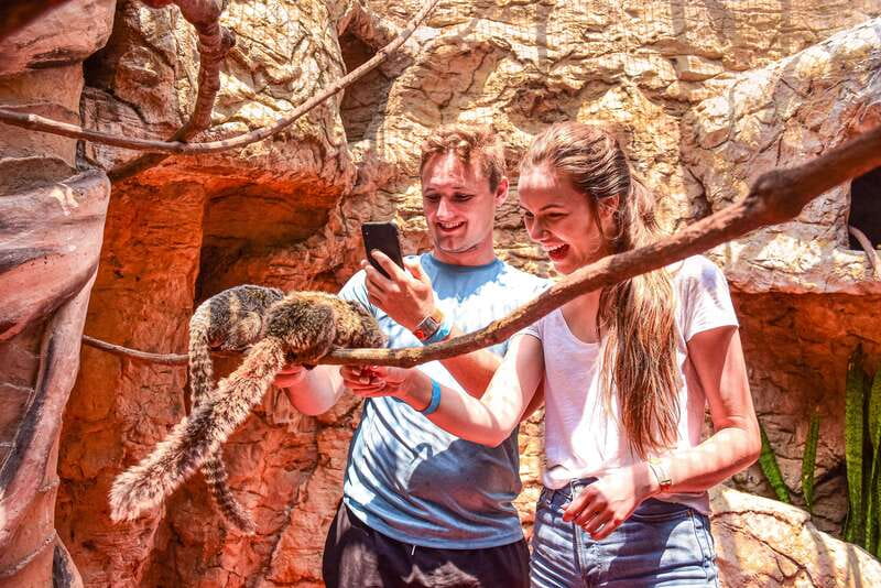 Puerto Vallarta: Canopy Tour with Zipline and Speedboat Ride - Lunch, tequila, and the animal sanctuary
