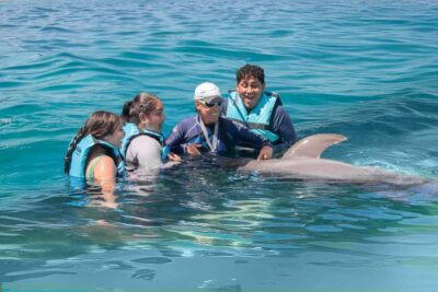 Dolphin Swimming and Aquaventuras Park