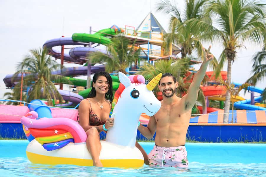Puerto Vallarta: Dolphin Swimming and Aquaventuras Park - The staff can make or break the day