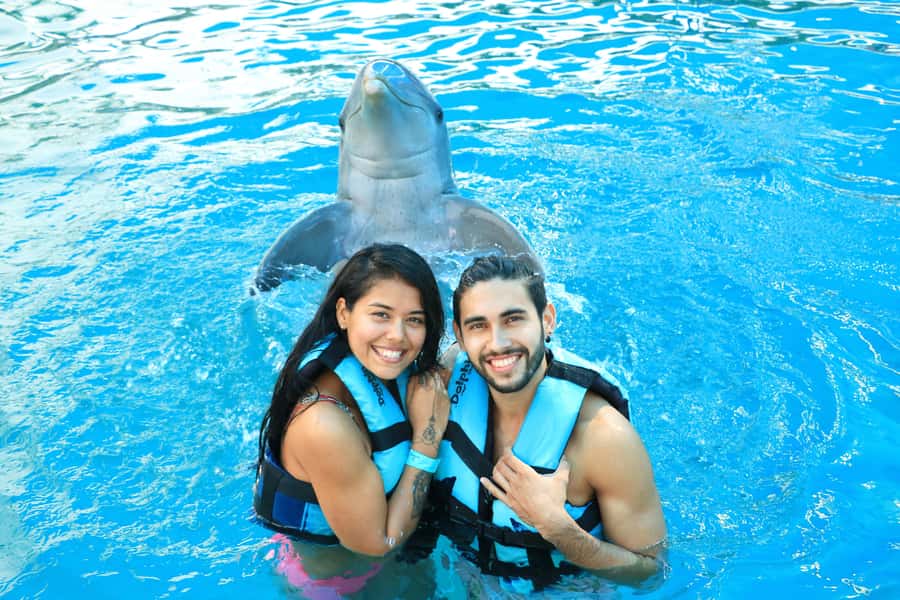 Puerto Vallarta: Dolphin Swimming and Aquaventuras Park - Should you book Aquaventuras and the dolphin swim?