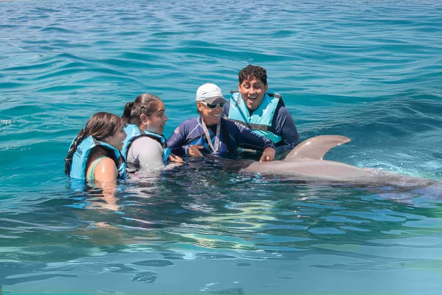 Puerto Vallarta: Dolphin Swimming and Aquaventuras Park - What happens after you leave the water
