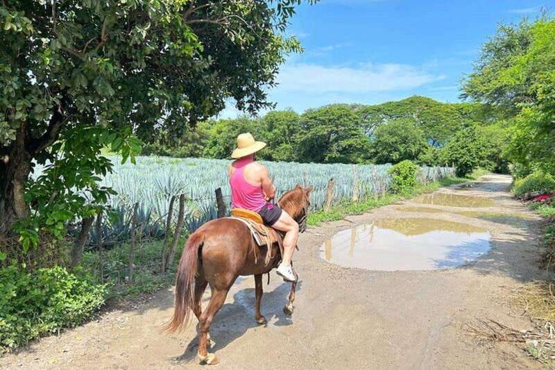 Puerto Vallarta: Horseback Riding, Lunch & Unlimited Drinks - Practical details that shape the day
