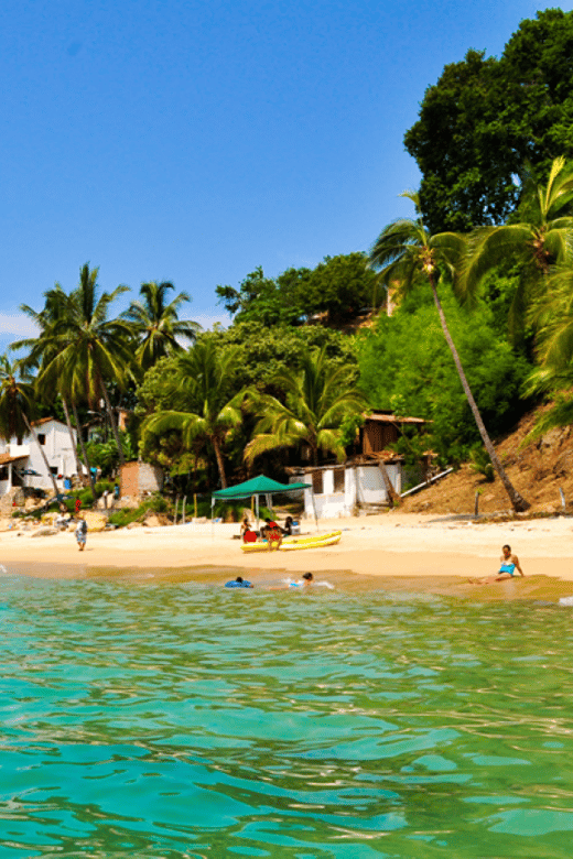 Puerto Vallarta: Los Arcos, Ánimas, and Quimixto Boat Tour - A lively boat day from Marina Vallarta