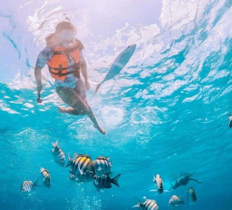 Puerto Vallarta: Los Arcos Islands Boat Tour and Snorkeling - The guides make the difference