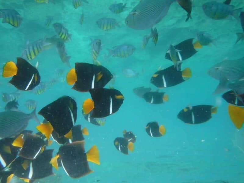Puerto Vallarta: Los Arcos Snorkel & Beach Private Boat Tour - Key points at a glance