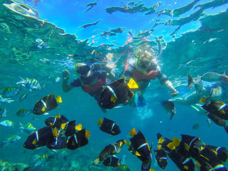 Puerto Vallarta: Luxury Day Sailing Tour of Bay of Banderas - Starting at Vallarta Adventures