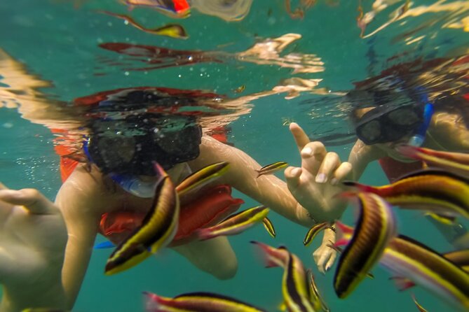Puerto Vallarta: Marietas Islands with Open Bar and Food - Hidden Beach and the optional eco tour