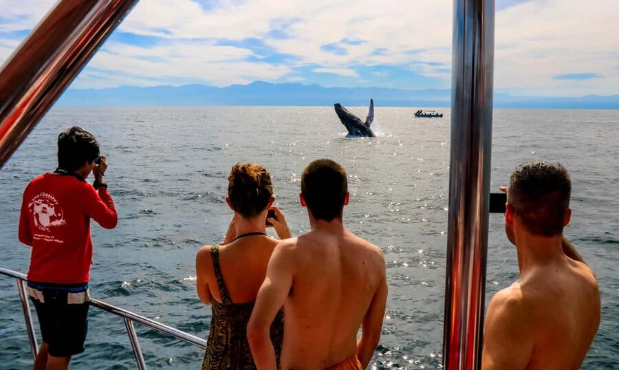 Puerto Vallarta: Mega Yacht Whale Watching Sunset Cruise - Why this sunset cruise works so well