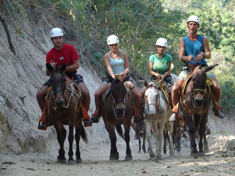 Puerto Vallarta: Outdoor Ziplines and Rappel Adventure - Key points to know before booking