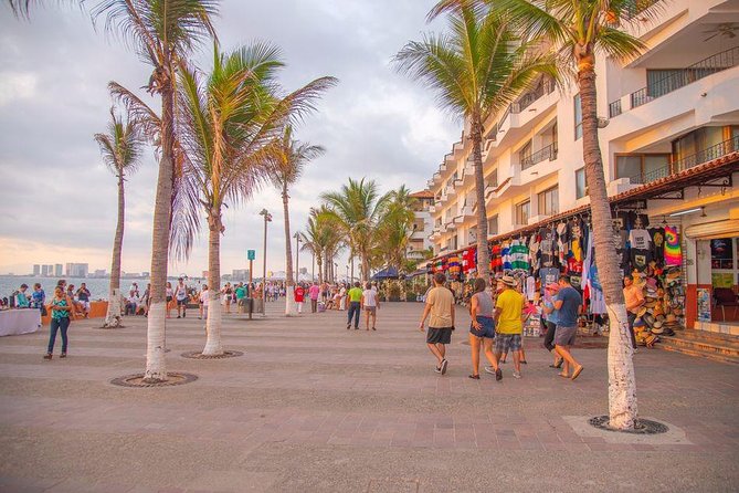 Puerto Vallarta Private Art Tour - Why an Early Start Makes Sense