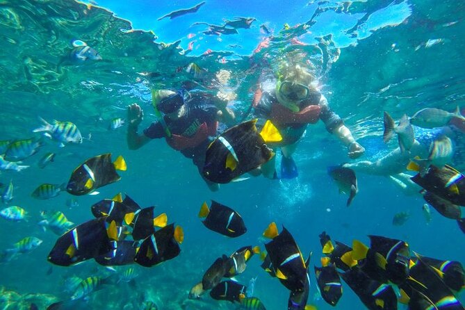 Puerto Vallarta: Private Yelapa Beach & Snorkel Tour on a Yacht - What the $1,225 price really buys