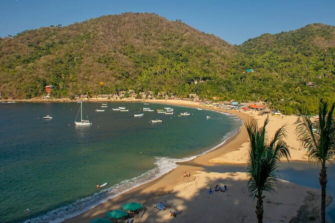 Puerto Vallarta: Private Yelapa Beach & Snorkel Tour on a Yacht - Should you book the Puerto Vallarta to Yelapa yacht tour?