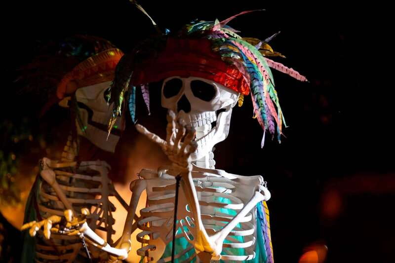 Puerto Vallarta Rhythms of the night, Show & Buffet dinner - Booking advice and final verdict
