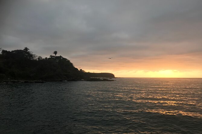 Puerto Vallarta's Yelapa Boat & Walking Tour - Why Yelapa Makes a Good Day Away
