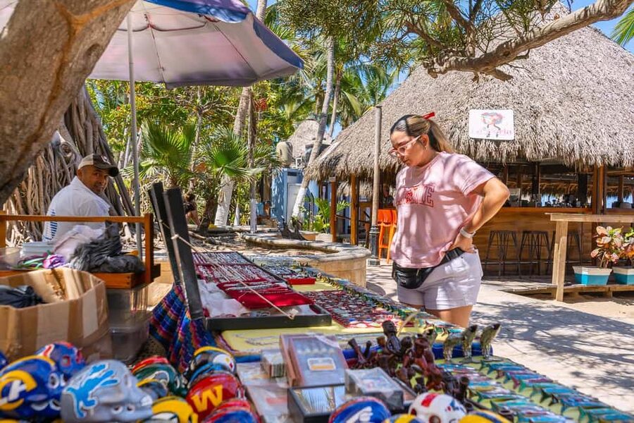 Puerto Vallarta: Sayulita and San Pancho Beaches Tour - Who will enjoy this excursion most