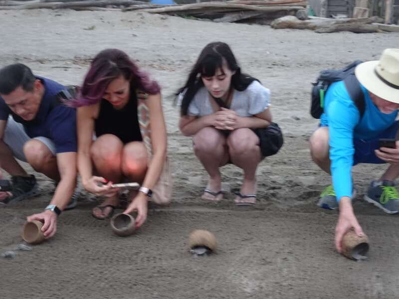Puerto Vallarta: Sea turtle release at Sunset - The nursery visit and conservation talk