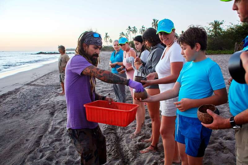 Puerto Vallarta: Sea turtle release at Sunset - What the $87 price includes