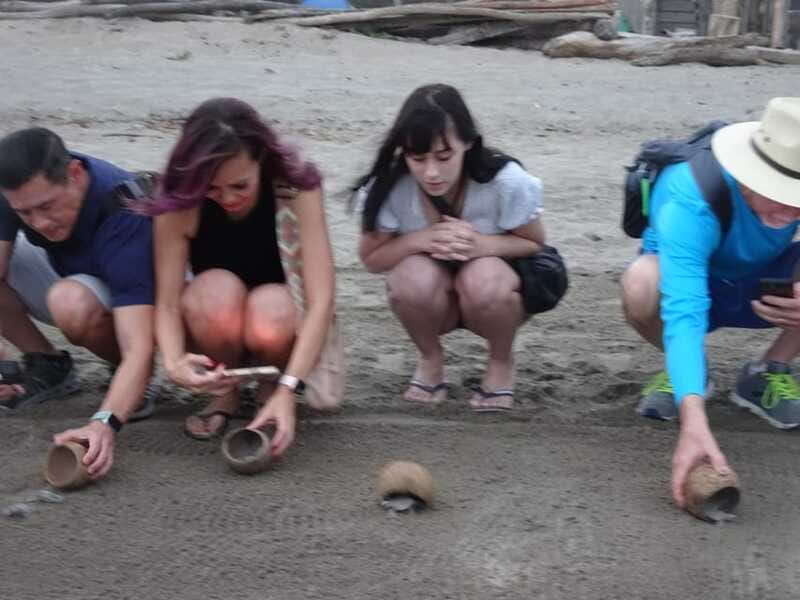 Puerto Vallarta: Sea turtle release at Sunset - Who should book this turtle camp