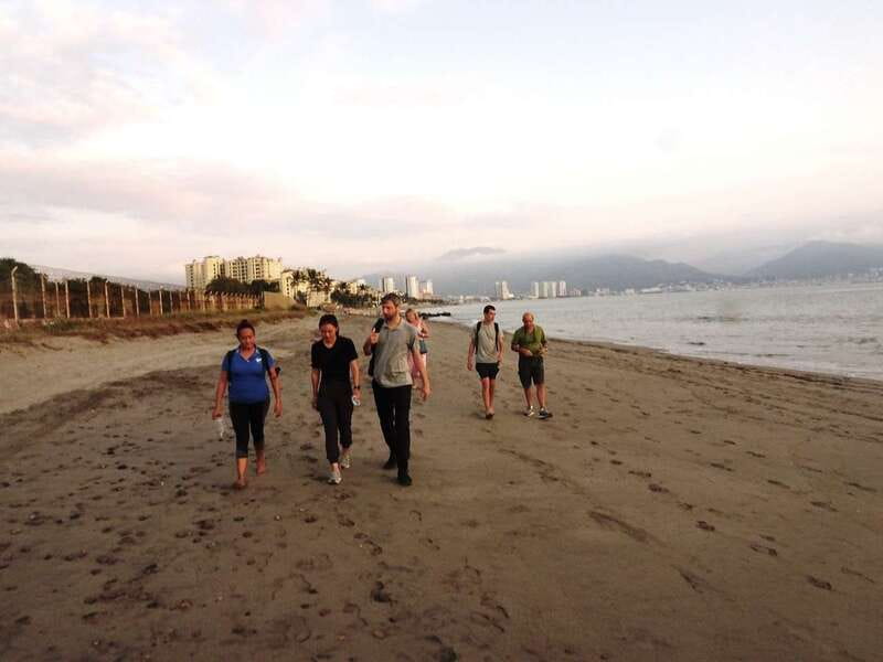 Puerto Vallarta: Sea turtle release at Sunset - Starting at Ecotours Vallarta