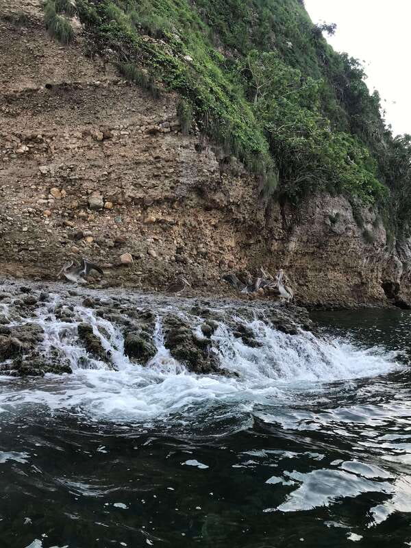 Puerto Vallarta: Snorkeling Tour to Los Arcos de Mismaloya - What the snorkeling portion is really like