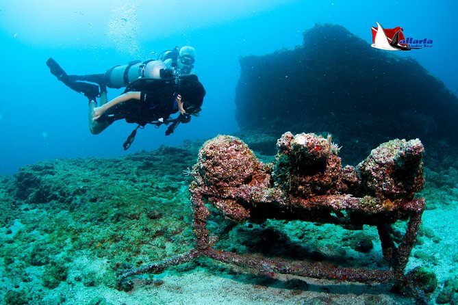 Puerto Vallarta Undersea Private Scuba Diving - What the private crew adds to the day