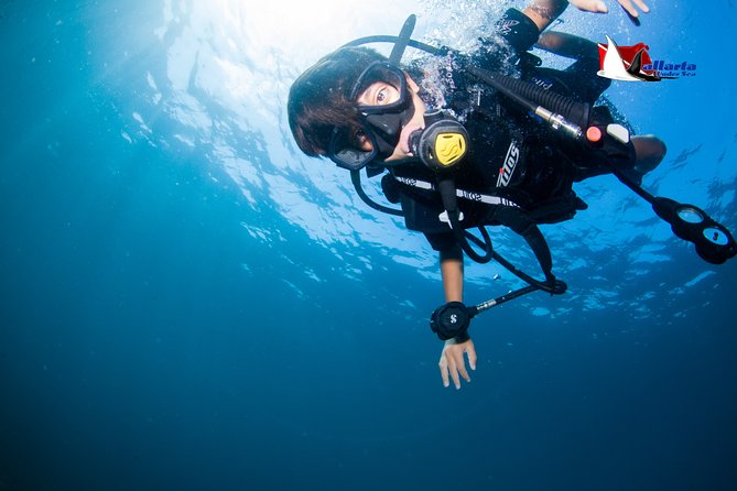 Puerto Vallarta Undersea Private Scuba Diving - Beginner scuba, certified scuba, and snorkeling