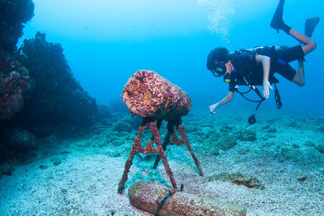 Puerto Vallarta Undersea Private Scuba Diving - What is included, and what raises the final cost