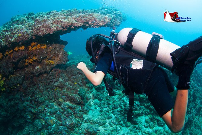 Puerto Vallarta Undersea Private Scuba Diving - Timing, meeting point, and cancellation rules